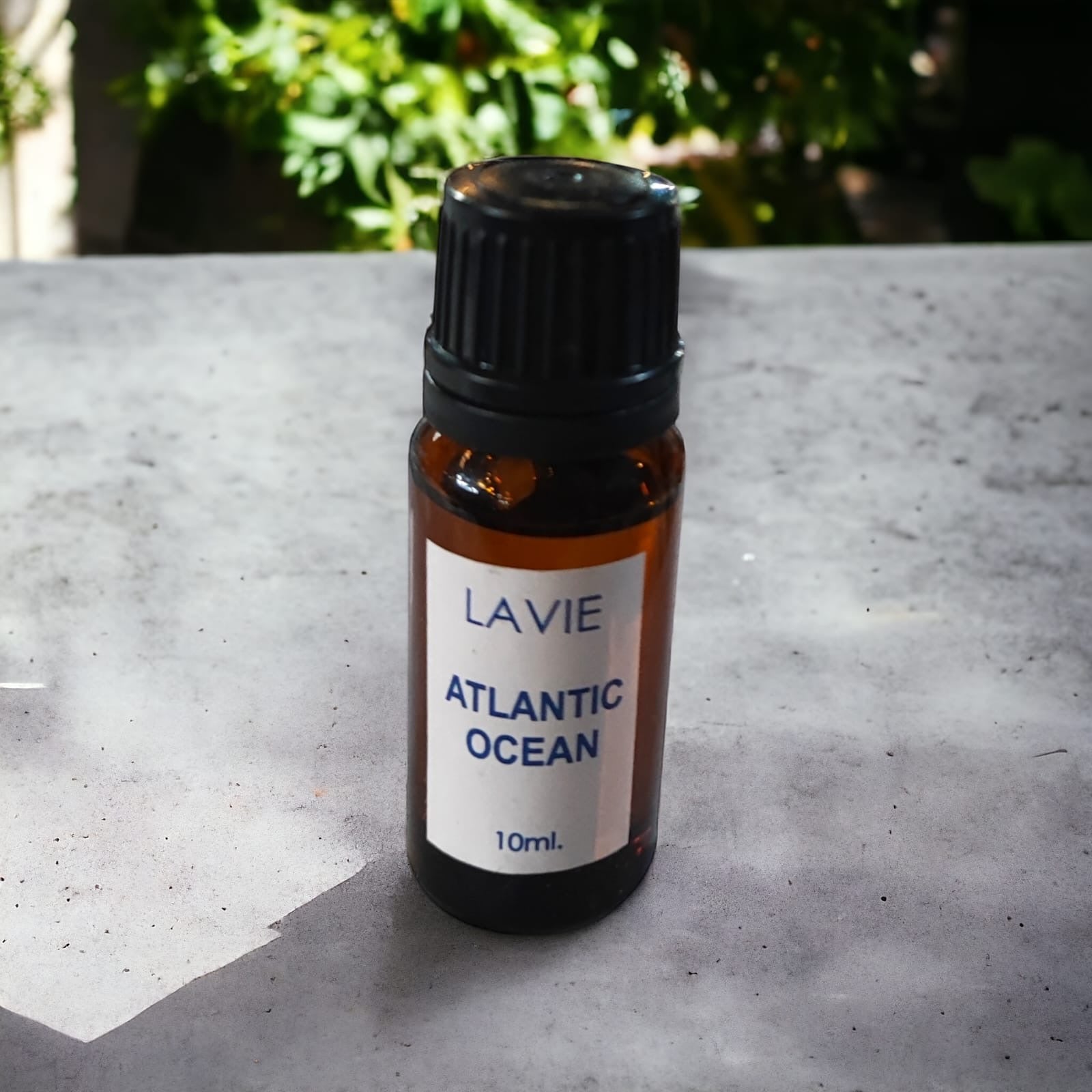 Lavie Atlantic Ocean Yağı